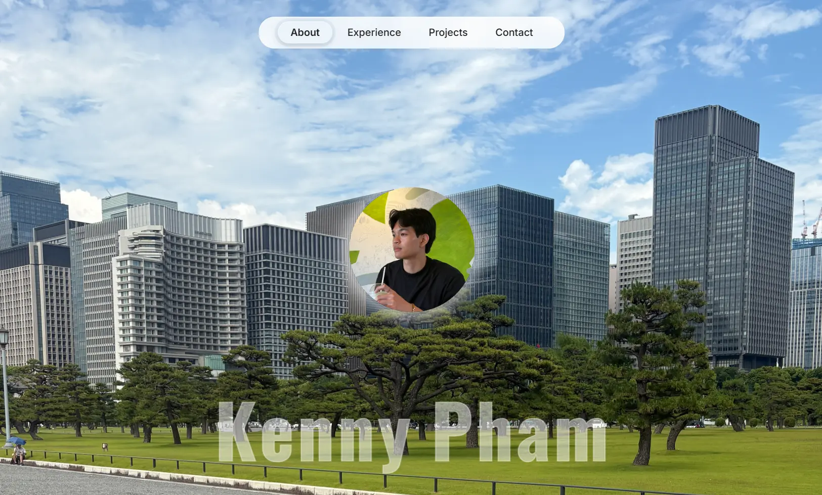 Portfolio website demo